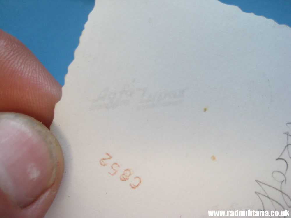 & WW2 original Waffen SS Unterscharfuhrer PHOTO - genuine !! Agfa-Lupex. - Image 5