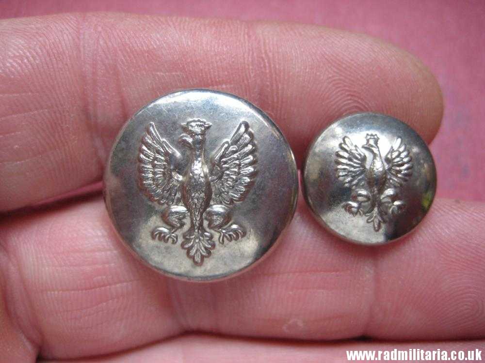 & Polish BUTTONS with EAGLE a Pair, made in USA - Waterbury CO's INC. CONN. - Image 4