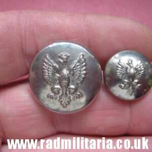 & Polish BUTTONS with EAGLE a Pair, made in USA - Waterbury CO's INC. CONN.