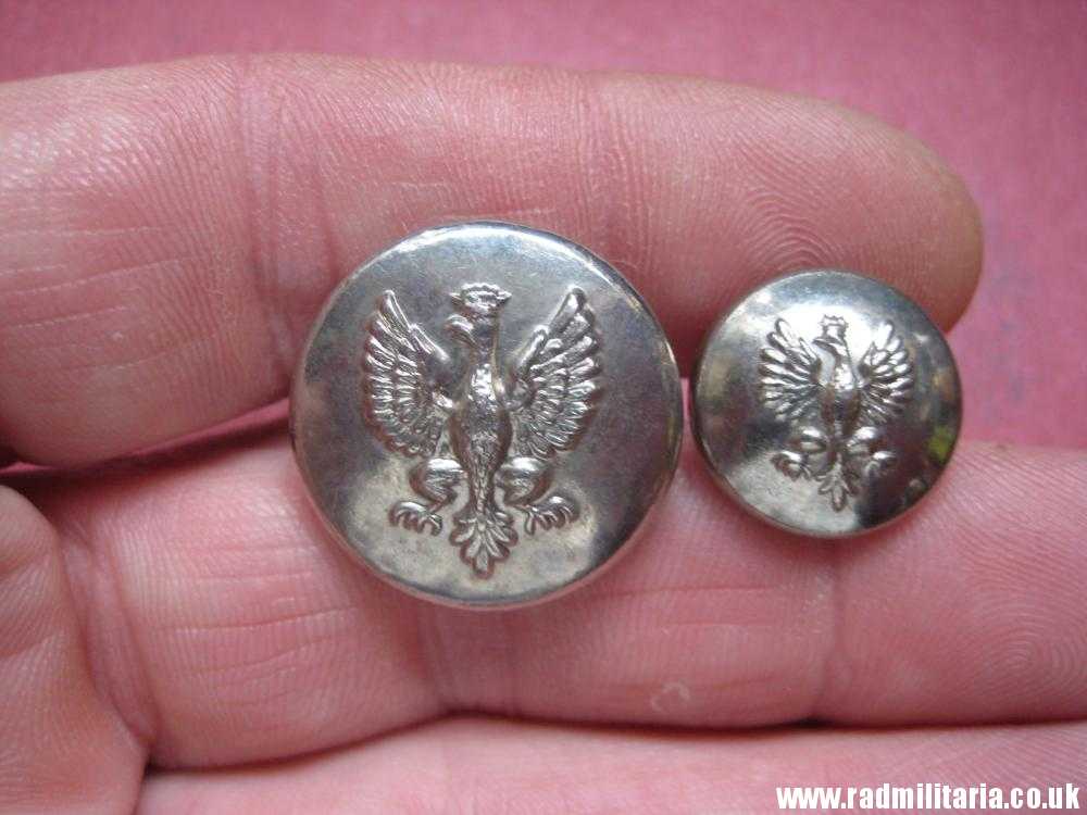 & Polish BUTTONS with EAGLE a Pair, made in USA - Waterbury CO's INC. CONN.