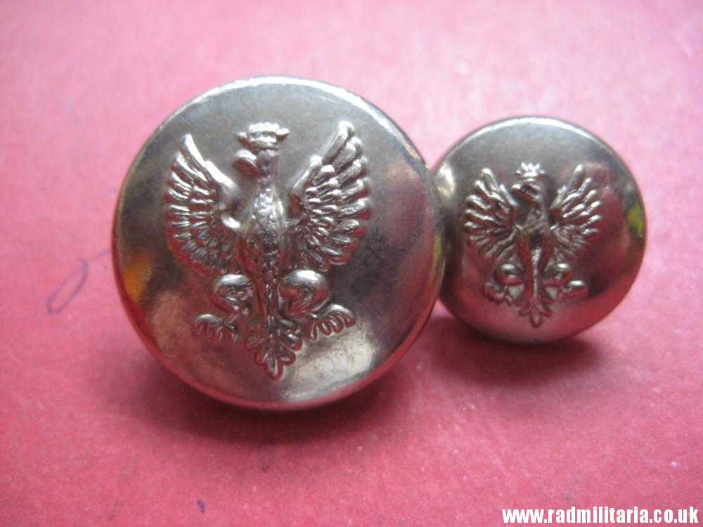 & Polish BUTTONS with EAGLE a Pair, made in USA - Waterbury CO's INC. CONN. - Image 2
