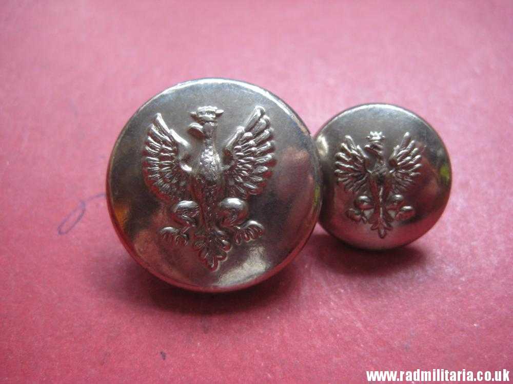 & Polish BUTTONS with EAGLE a Pair, made in USA - Waterbury CO's INC. CONN. - Image 7