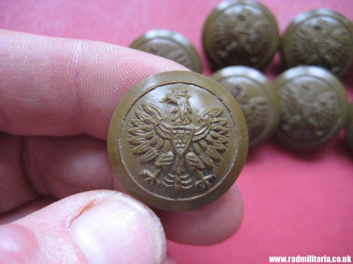 & WW2 POLISH ARMY BUTTONS with Eagle - green. SET of 8 buttons, original ! - Image 9