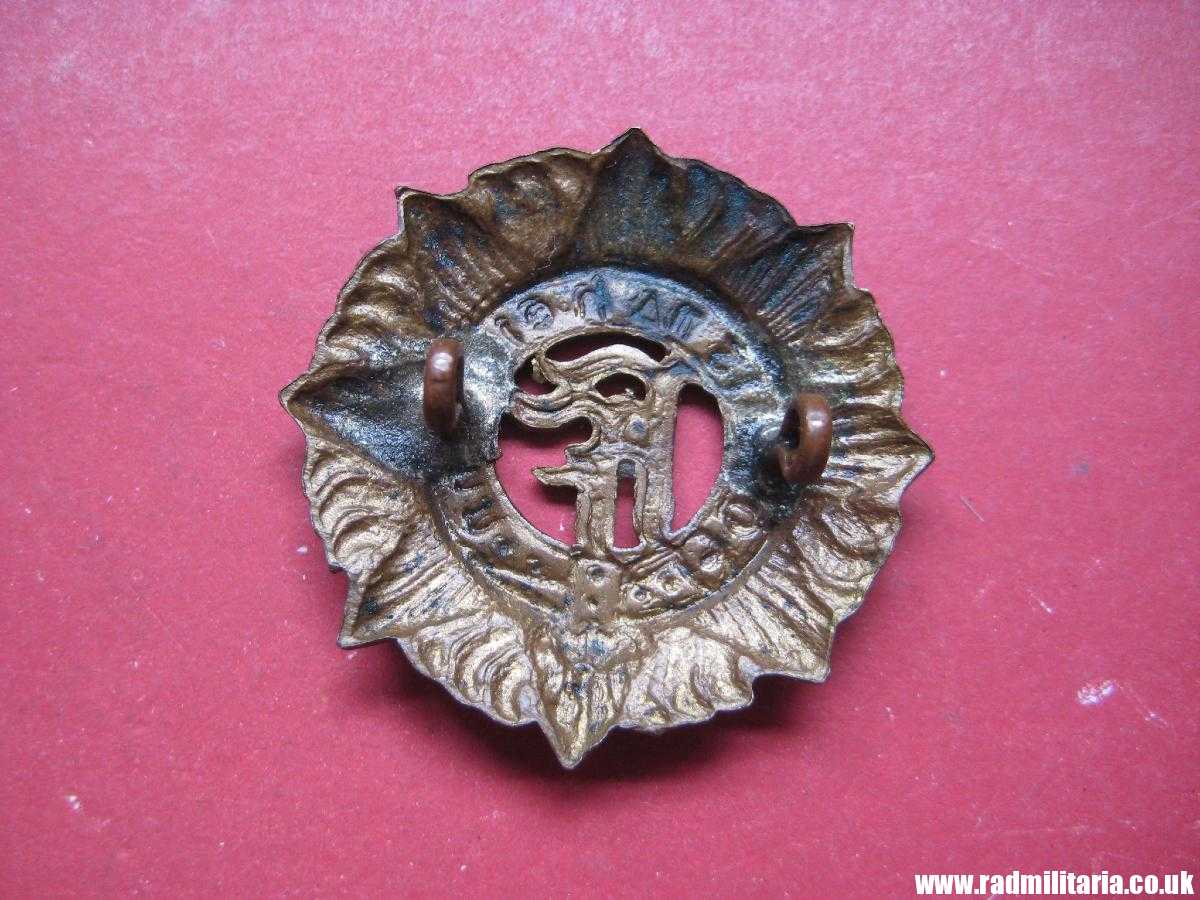 & genuine IRISH Defence Forces CAP BADGE in good used condition. - Image 4